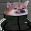 Erland Lie Amundgård's avatar